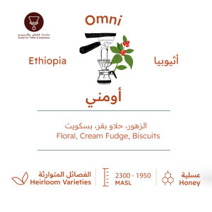 Roasting House - Omni Ethiopia 250G